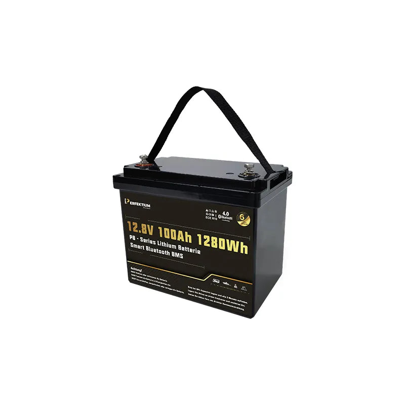 LiFePo4 Perfektium akumulator PB SERIJE 12.8V 100Ah Bluetooth