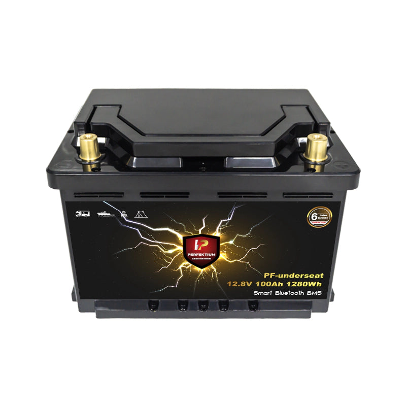 LiFePo4 Perfektium akumulator PF SERIJE 12,8V 100Ah Smart BMS, Bluetooth