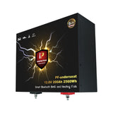 LiFePo4  Perfektium akumulator PF SERIJE 12,8V 200Ah Smart BMS, Bluetooth s grijaćom folijom